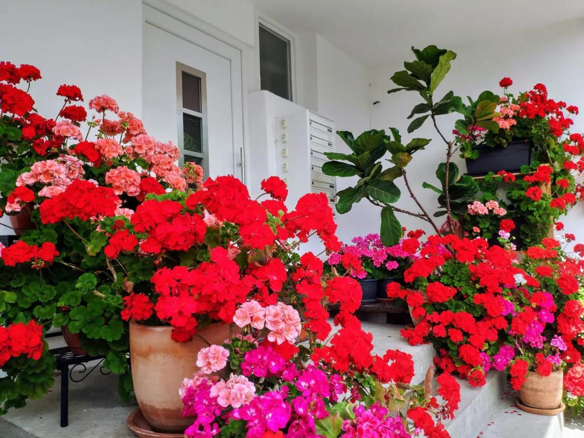 Alpendohle Apartments อินส์บรุค ภายนอก รูปภาพ